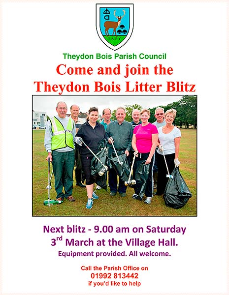 Litter Pick March 3rd Poster
