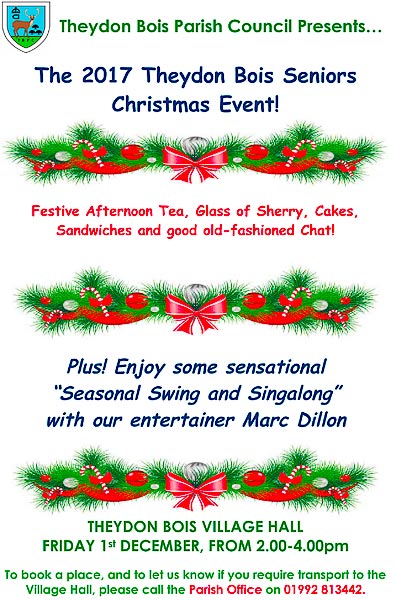 Theydon Seniors Xmas Event poster