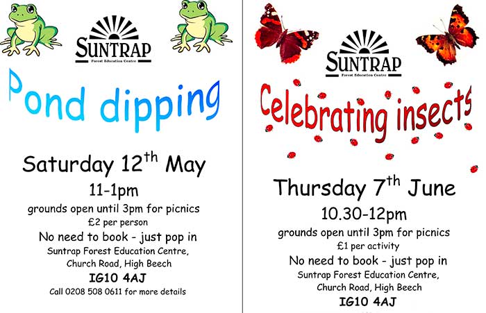 Suntrap Poster