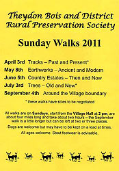 Walks Poster