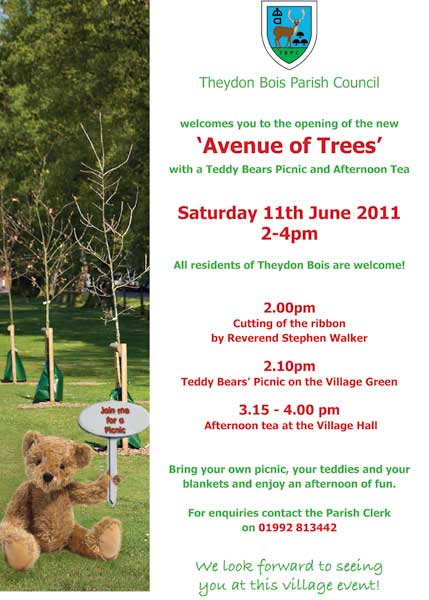 Teddy Bears Picnic Poster