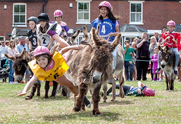 Donkey Derby 2015
