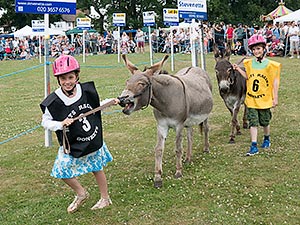 Donkey Derby 2015