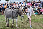 Donkey Derby 2015