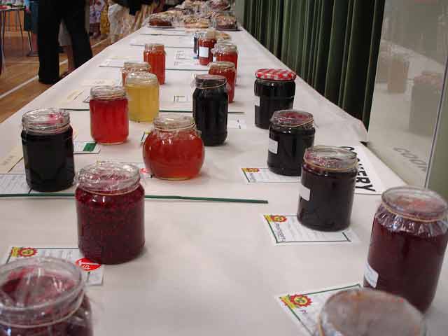 Horticultral Show 02