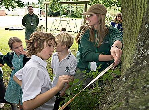 Primary School Hedge Row Project