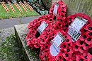 Theydon Bois Remembrance Sunday 2014