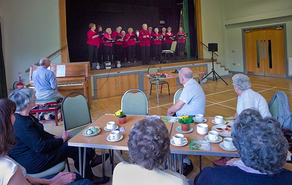 Theydon Seniors Event 01