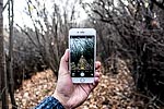 Photo Contest