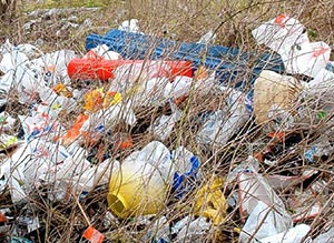 Dumped Plastic Bags